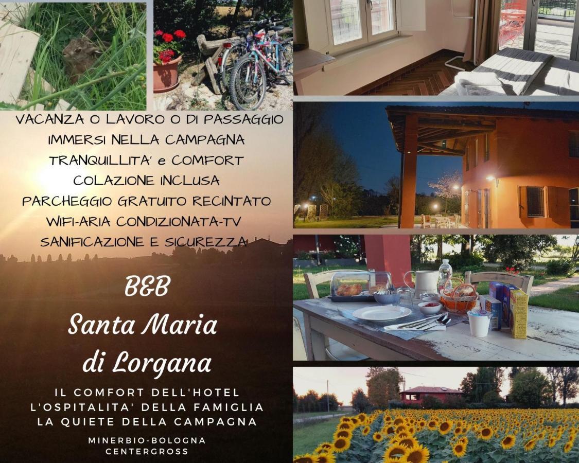 Bed and Breakfast Santa Maria Di Lorgana Minerbio Exterior foto